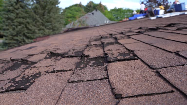 Best Sheet Metal Roofing  in Gunnison, UT